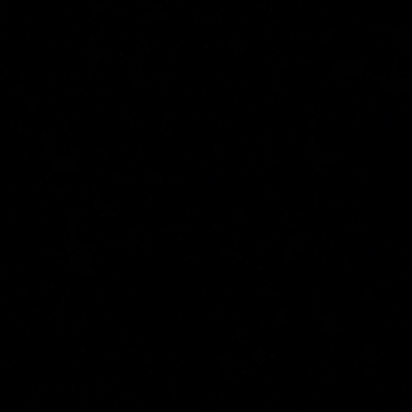 Meet your Posher, Steven - Picture 1 of 1